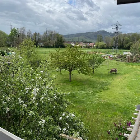 Apartment Au Petit Logelbach Wintzenheim