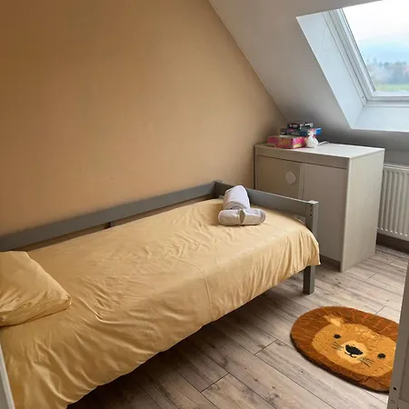 Apartment Au Petit Logelbach *