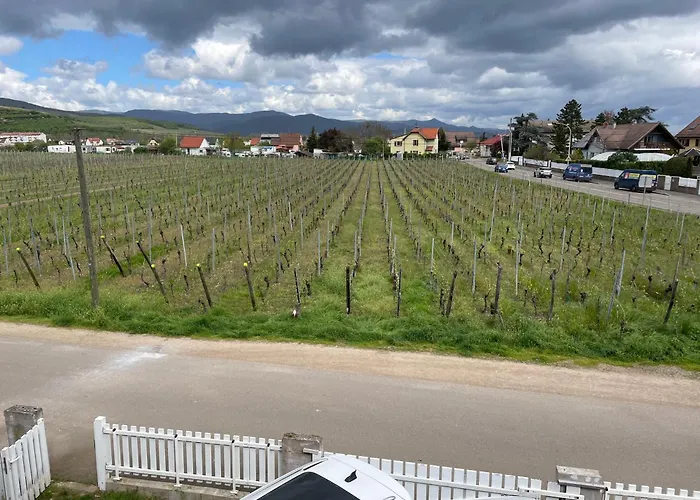 Au Petit Logelbach Apartment